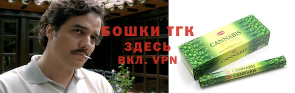 индика Верхнеуральск
