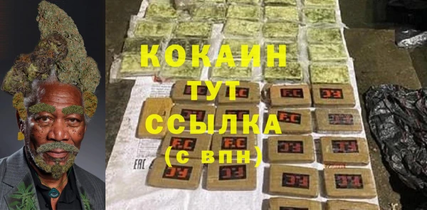 PSILOCYBIN Верхний Тагил