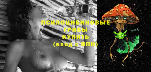 PSILOCYBIN Верхний Тагил