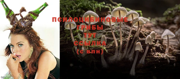 дживик Верея