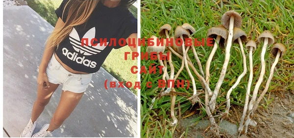 PSILOCYBIN Верхний Тагил