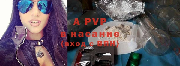 PSILOCYBIN Верхний Тагил