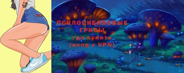 индика Верхнеуральск